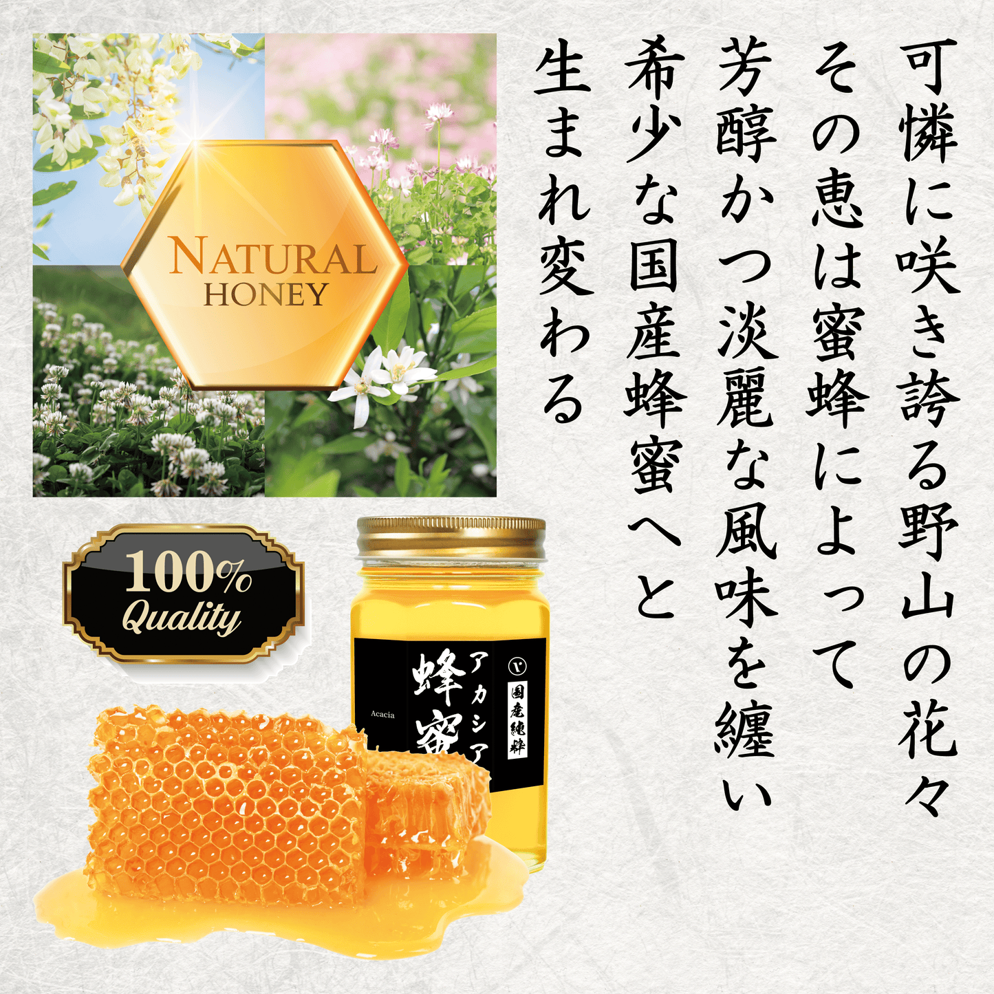 アカシア 国産純粋はちみつ 170g