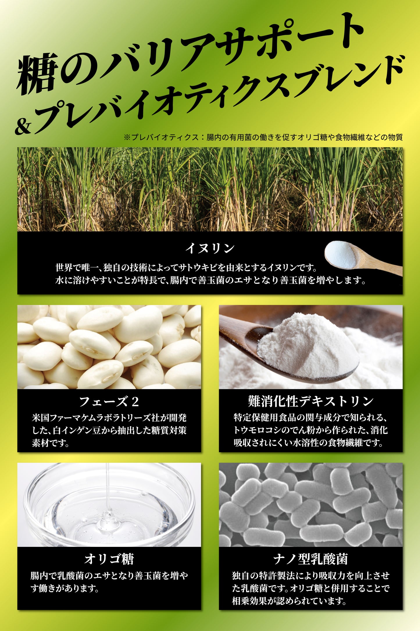 Phase２ CARB FIBER（フェーズ２カーブファイバー）