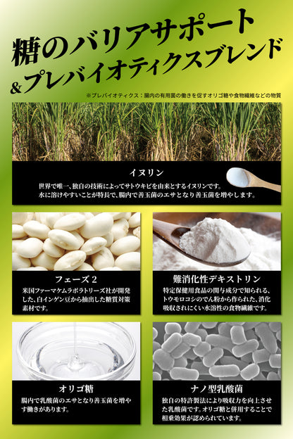 Phase２ CARB FIBER（フェーズ２カーブファイバー）