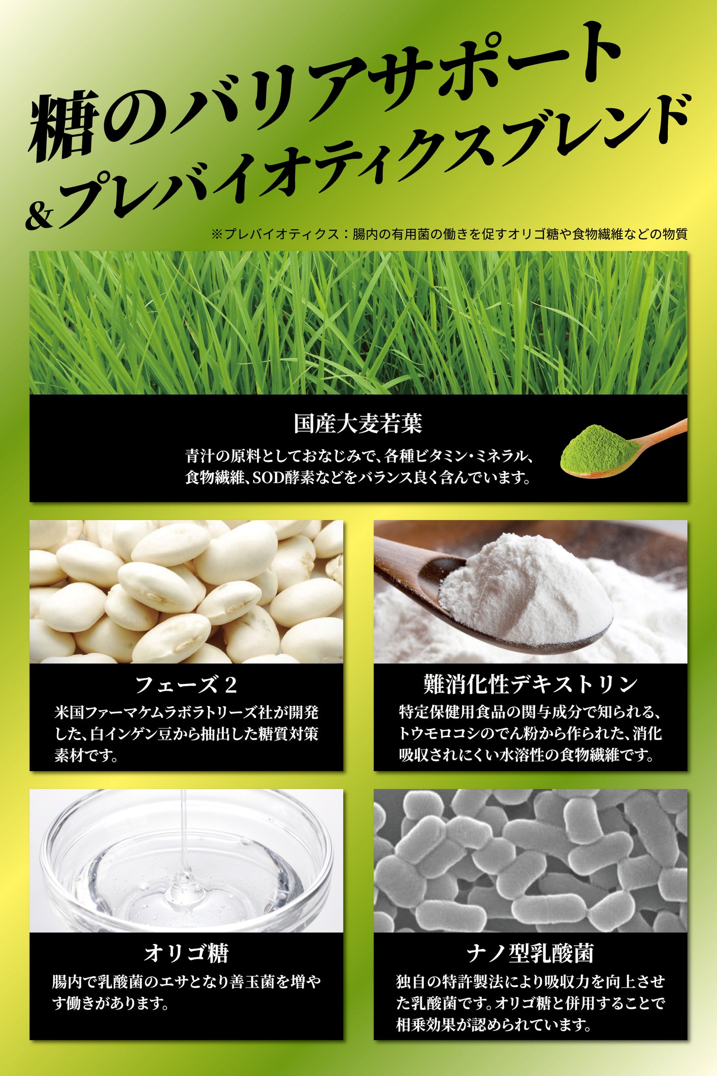 Phase２ CARB GREEN（フェーズ２カーブグリーン）