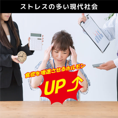 Phase２ CARB FIBER（フェーズ２カーブファイバー）